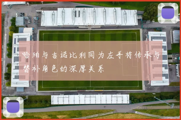 哈珀与吉诺比利同为左手将传承与替补角色的深厚关系